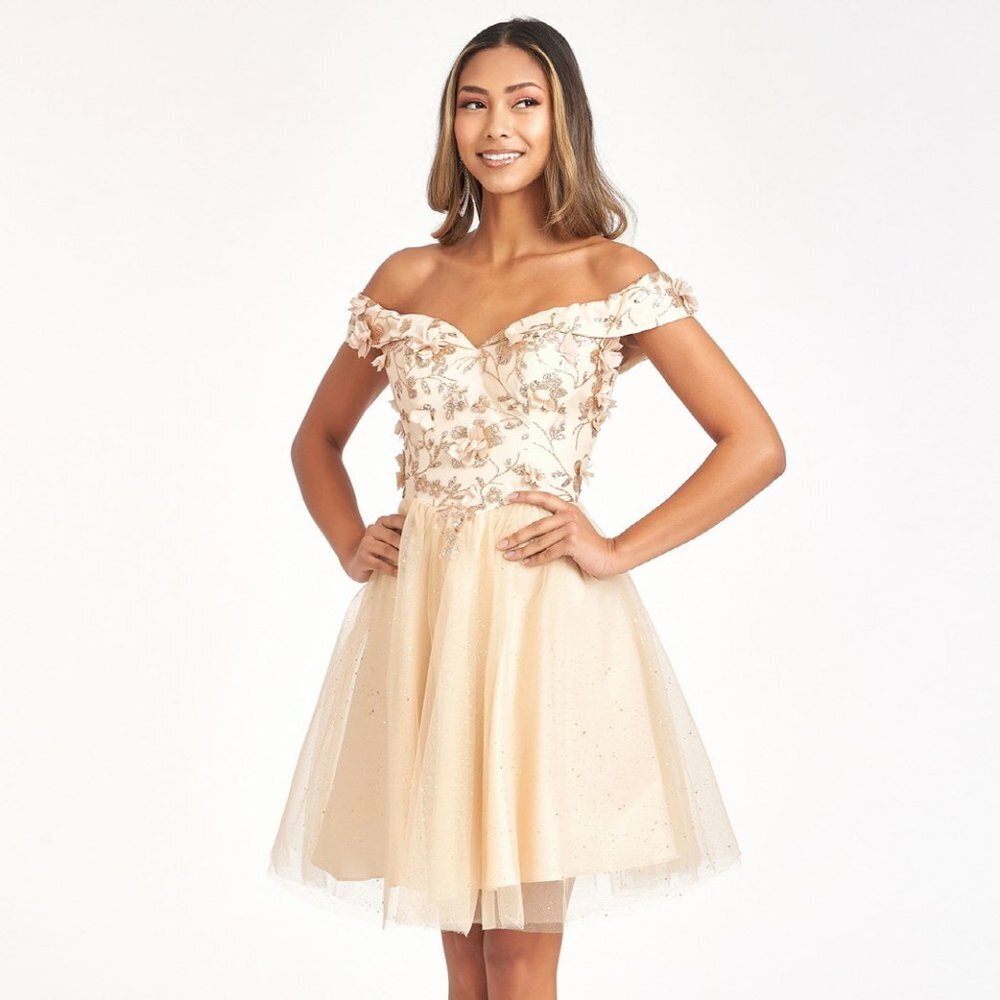 NEW SHORT OFF THE SHOULDER SLEEVELESS MESH DRESS WITH LACE UP BACK GL GS1978